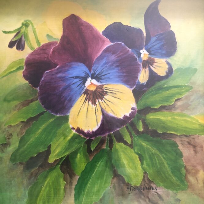 Pansy Patch